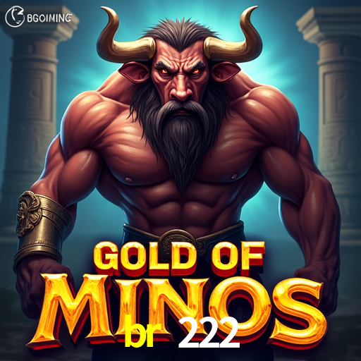 Como instalar o app da br 222